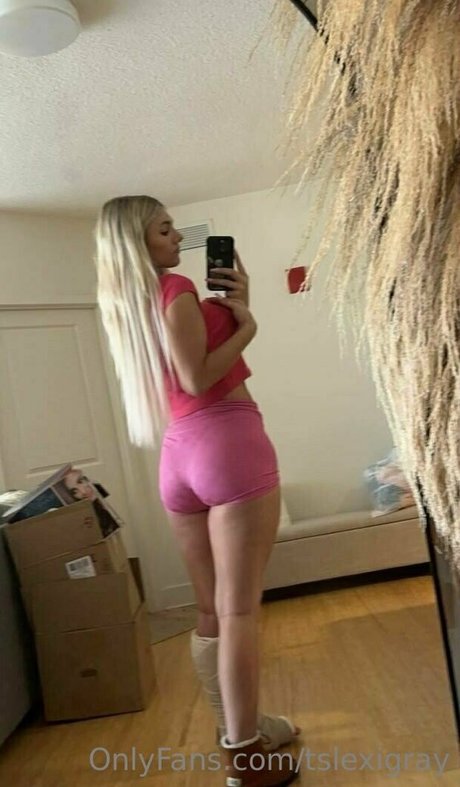 onlylexigray HDモデル 写真