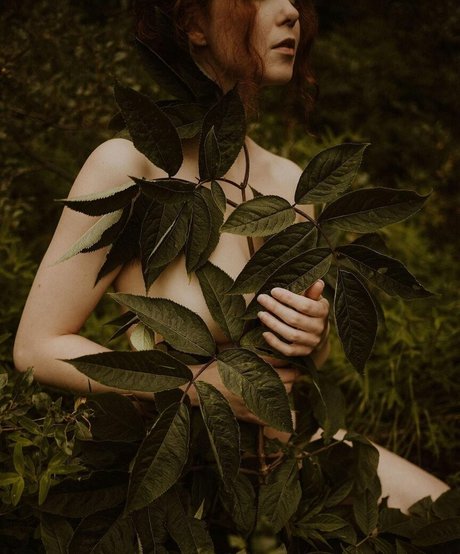 Icelandic Selkie かわいいスター 画像