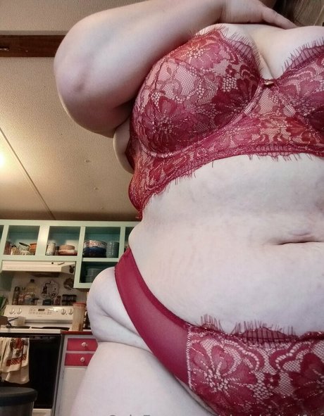 chubbyheifer 素敵なスター 画像