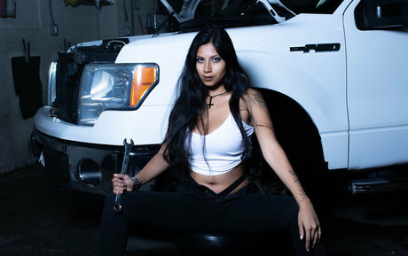 bengalivixen トップスター 写真