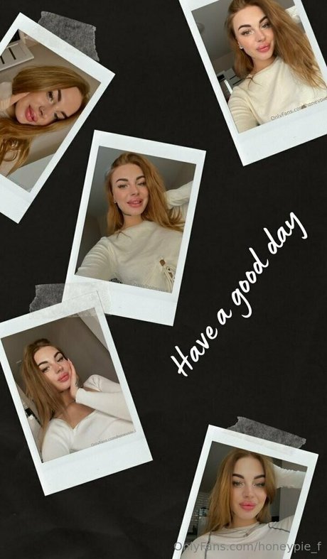 honeypie f HDモデル 画像