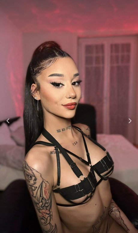 Arryadoll 最高のスター 画像