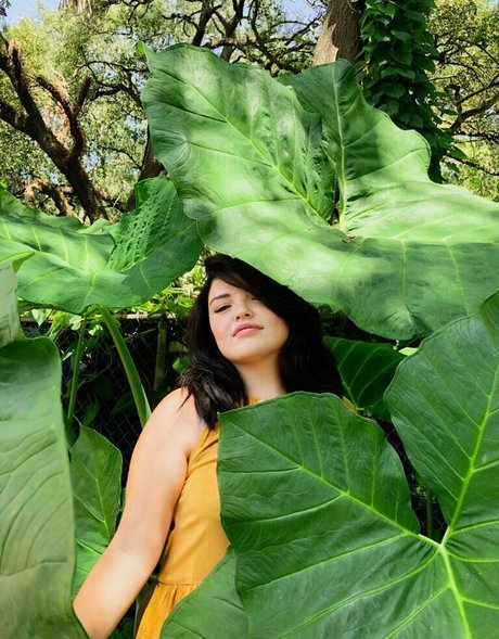 Alondra Larson 可愛い女優 写真