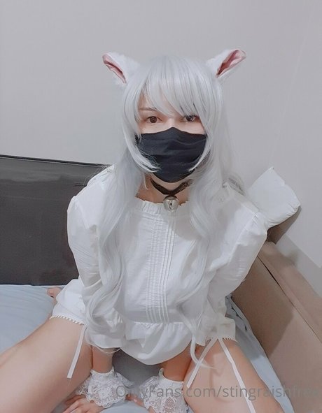 stingraishfree 最高のポルノスター ギャラリー