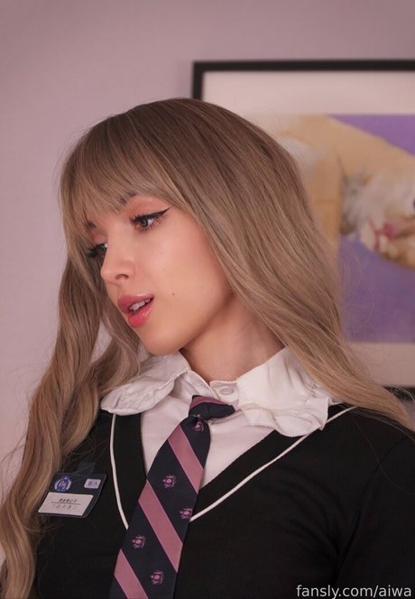 Aiwa 高品質モデル 写真