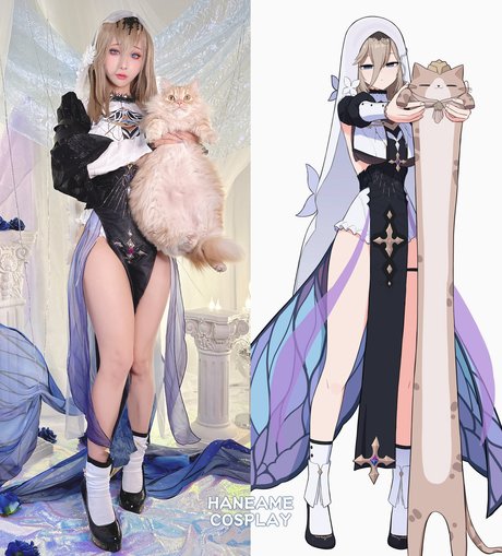 Haneame アートスター 写真