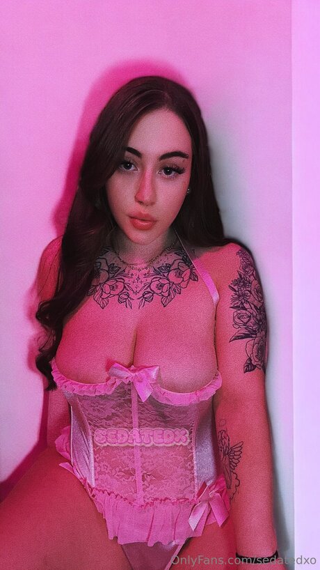 Sedatedxo 高品質モデル 写真