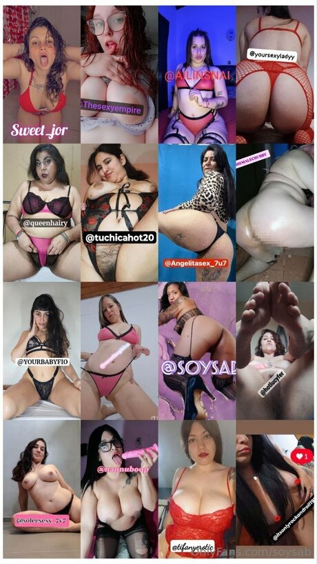 Soysab 最高のスター 写真