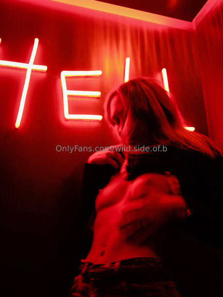 wild side of b 高品質モデル 写真