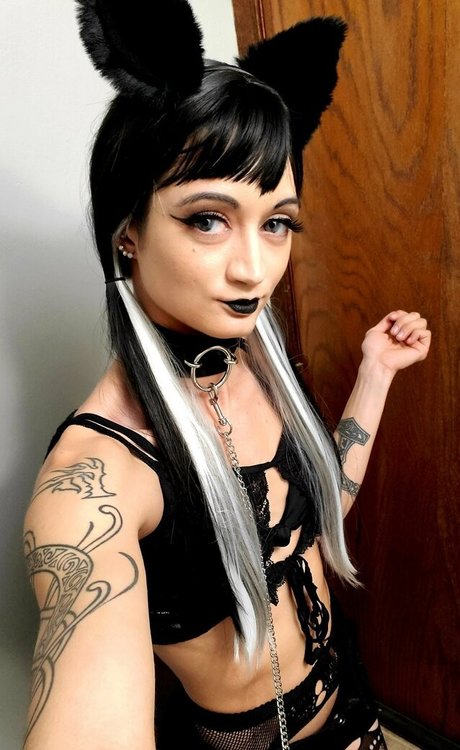 nekogoth23 独占女優 写真
