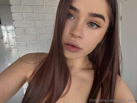 Cutie Dixie 美しいスター 写真