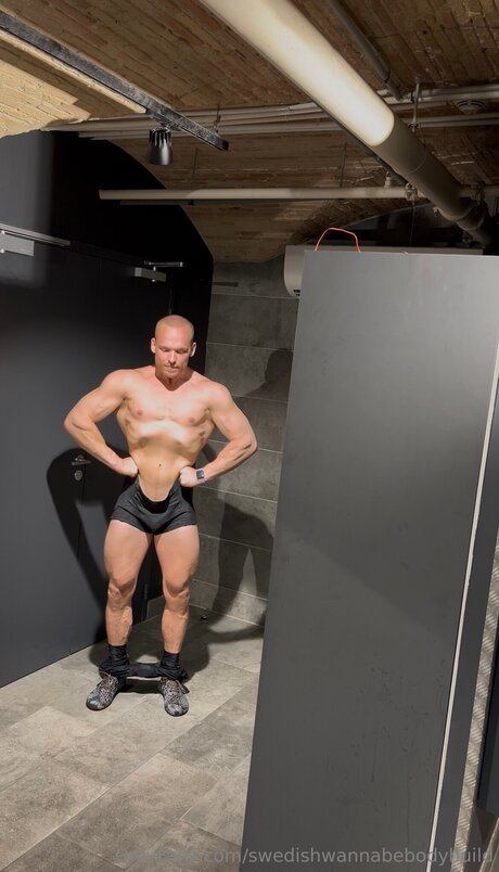 Swedishwannabebodybuild 高品質のポルノスター 写真