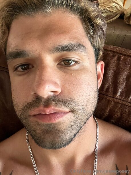 Jesseposey ヌードのポルノスター 写真