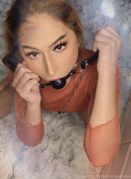 Bluntsandparadise 高品質モデル 写真