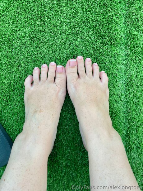 Alexlongtoes トップスター 写真