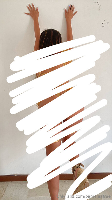 Pamelaafree 完璧なモデル 写真