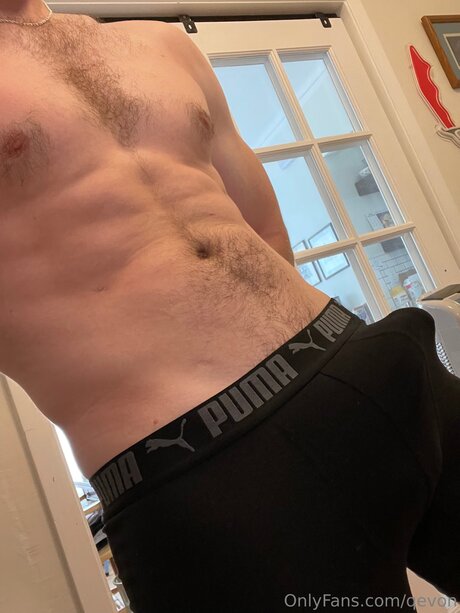 Qevon アートスター ギャラリー