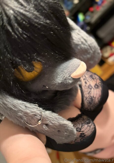 Mawsta R 独占スター 写真