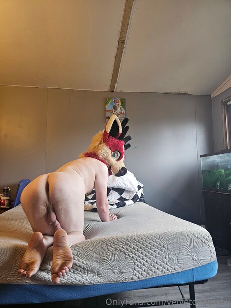 Velvetdeernsfw ポルノスター セックス 画像