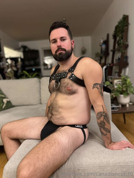 Canadiancub30 profile image