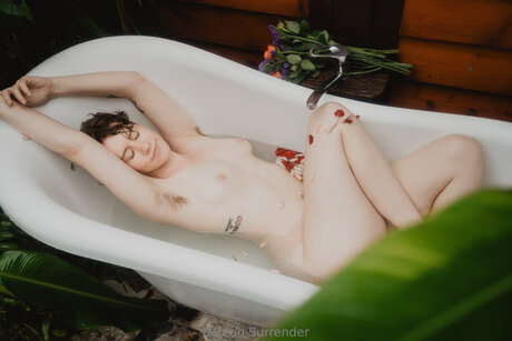 Safeinsurrender 最高のスター 写真