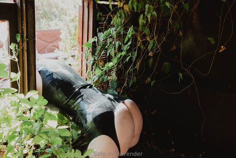 Safeinsurrender セクシー女優 写真