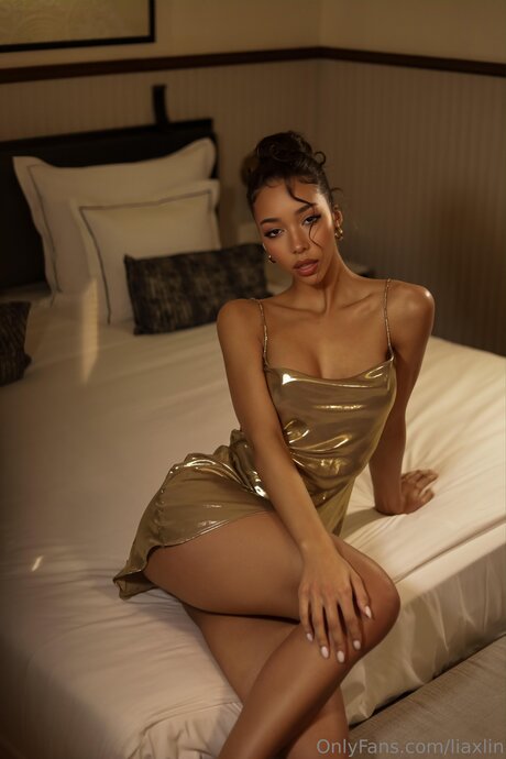 Liaxlin ポルノスター セックス 画像
