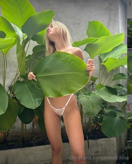 Enkeli Liina 裸モデル 画像