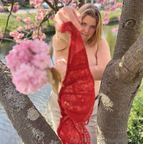 Dariassecrets 独占スター 写真