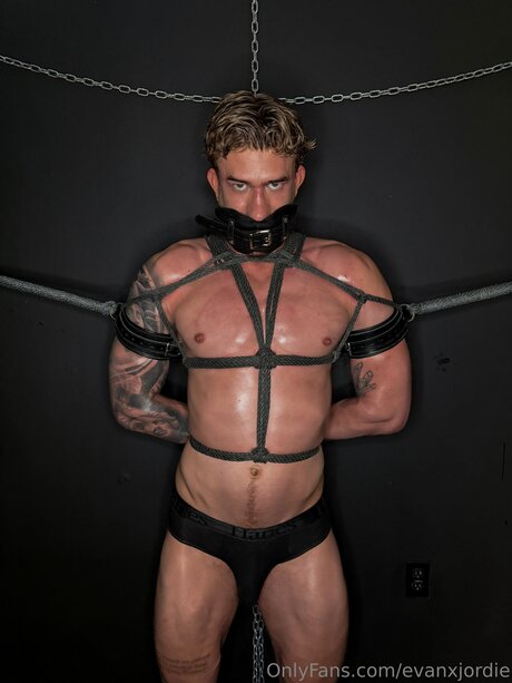 Evanxjordie 無料スター 写真