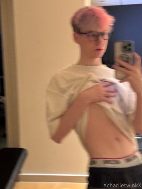 Xcharlietwinkx ポルノスター トップ ギャラリー