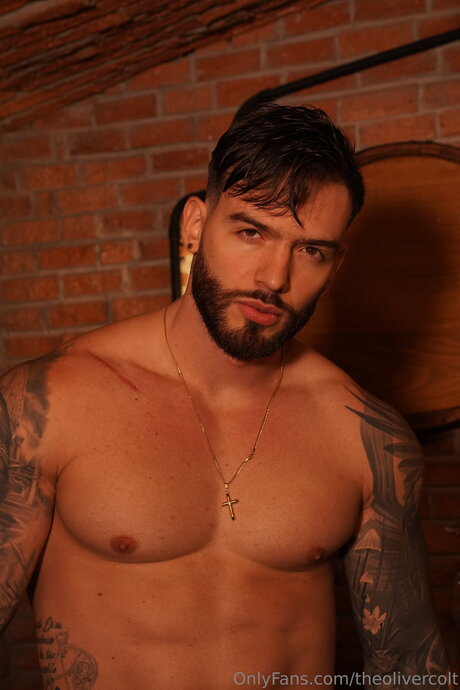 Theolivercolt セックス女優 ギャラリー