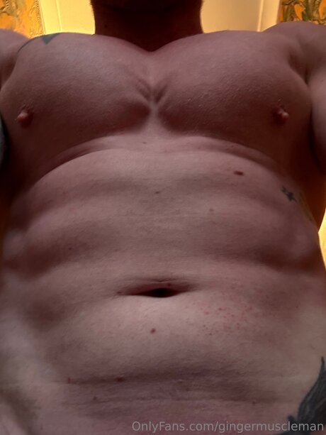 Gingermuscleman 高品質モデル 画像
