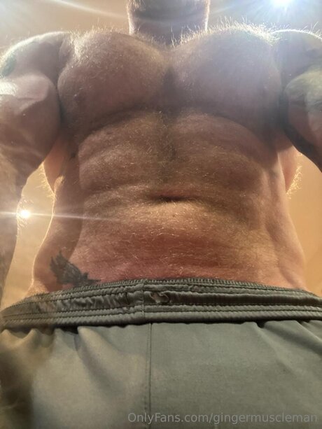 Gingermuscleman ヌードスター 写真