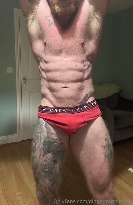 Gingermuscleman 美しいスター 写真