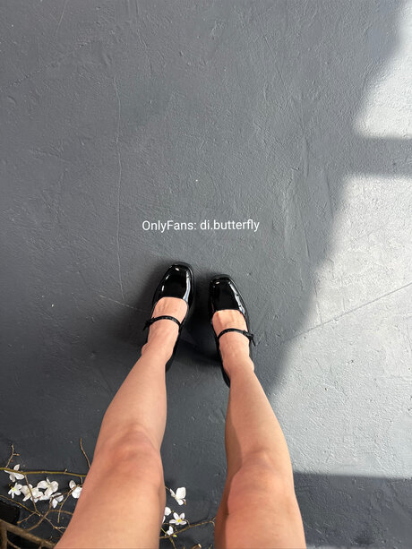 Di Butterfly セクシーなスター 写真