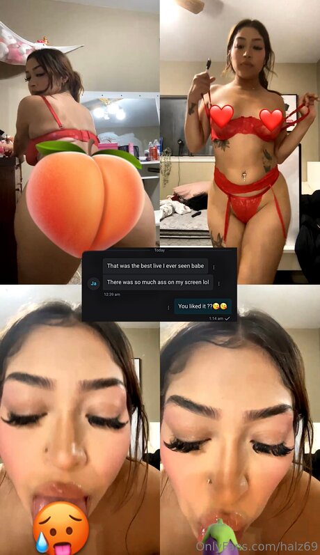 Halz69 独占スター 写真