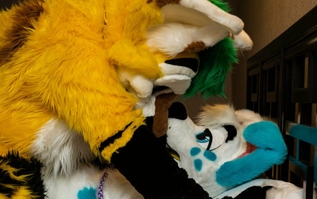 thepineapplefox ポルノスター 写真