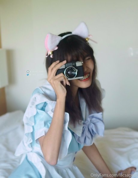 bibbob xxxモデル 画像