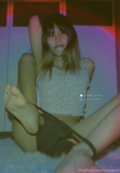bibbob 素敵なスター 写真