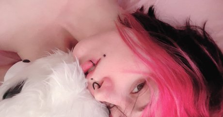 Ecchievement ポルノスター パーフェクト 画像