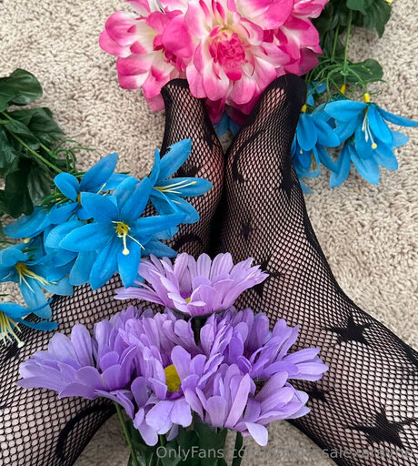Goddessalexarayne スター ギャラリー