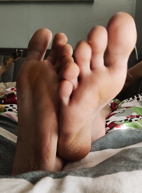 Goddessblondiefeet セクシーなポルノスター 写真