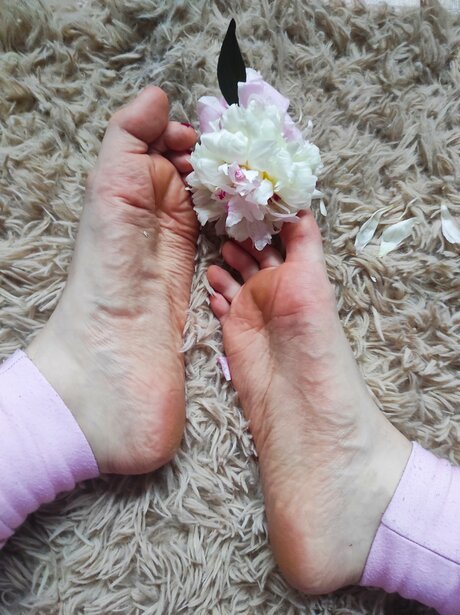Goddessblondiefeet ポルノスター ギャラリー