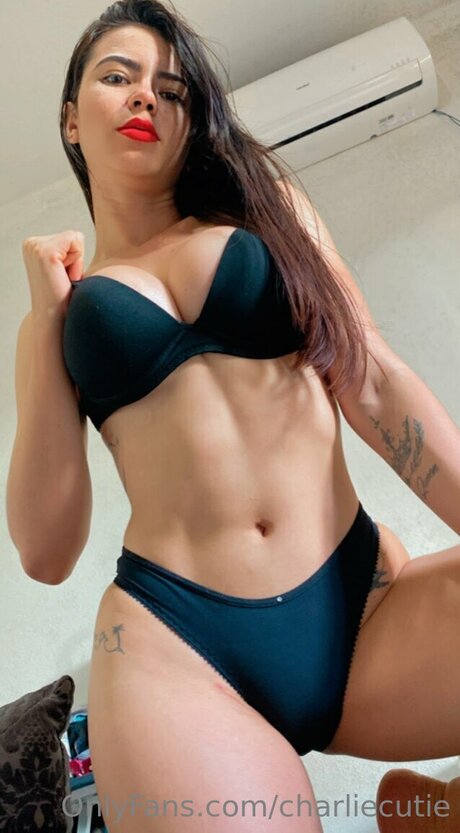 Charliecutie 完璧なスター 画像