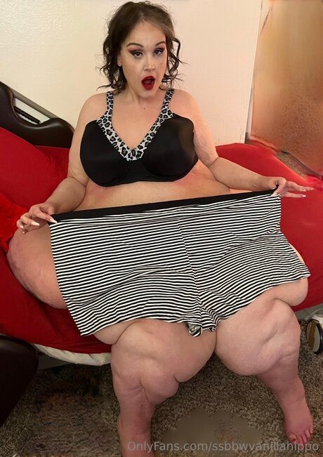 Ssbbwvanillahippo トップモデル 写真