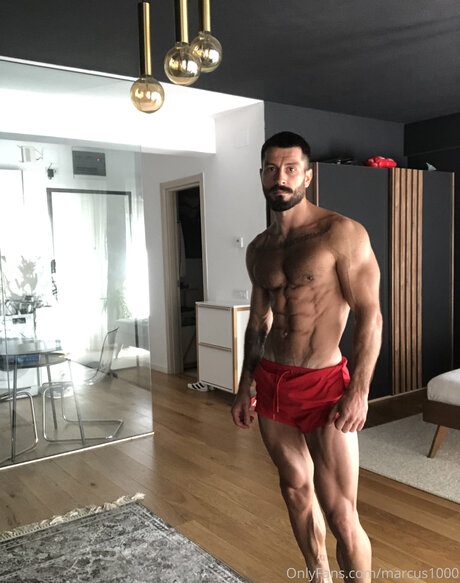 Marcus1000 完璧なスター 写真