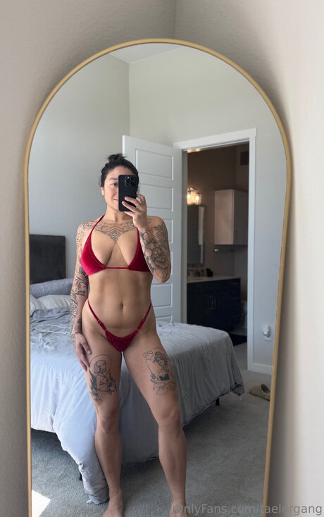 Taelorgang 完璧なスター 写真
