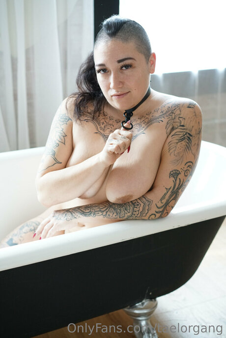 Taelorgang 独占ポルノスター 写真