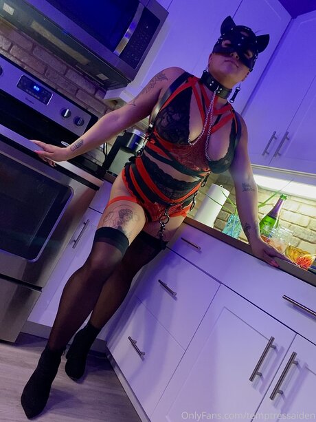 Taelorgang ホットスター 写真